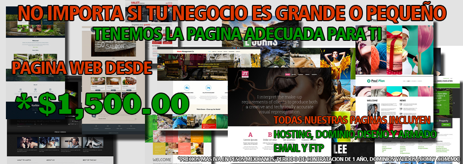 Paginas web